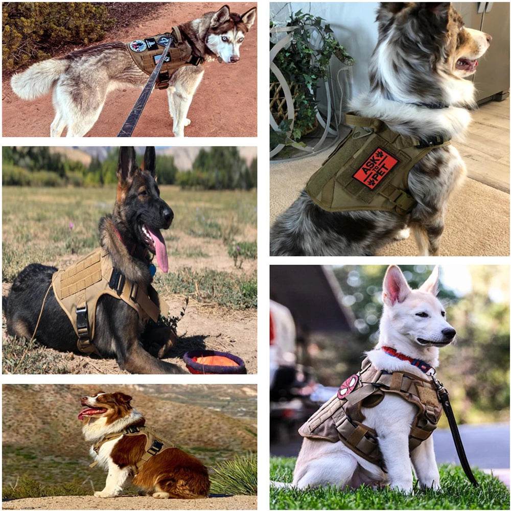 Dog Harness Collar Leash Set, Military Tactical Vest