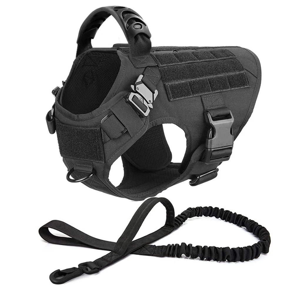 Dog Harness And Leash Set