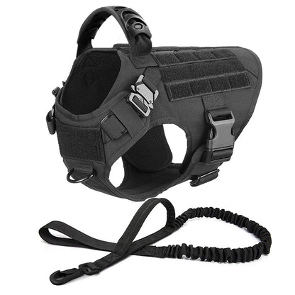 Dog Harness And Leash Set