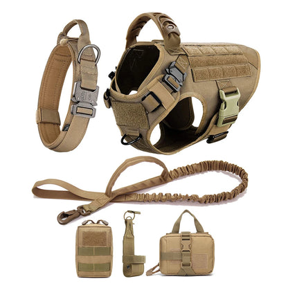 Dog Harness And Leash Set