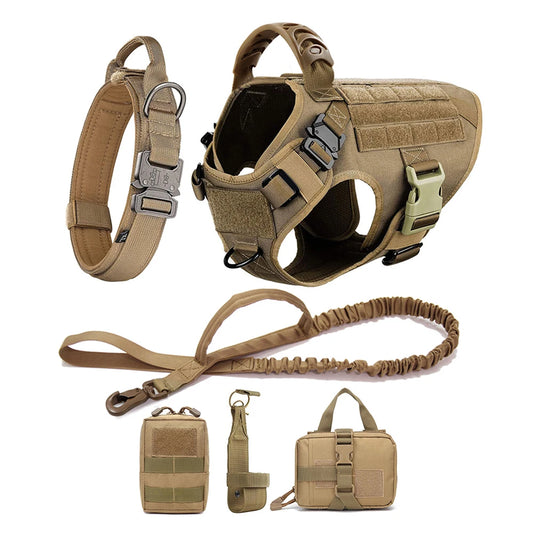 Dog Harness And Leash Set