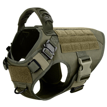 Dog Harness And Leash Set